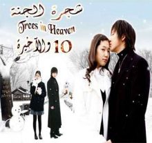 المسلسل الكوري شجرة الجنة - Trees in Heaven الحلقة 10 والآخيرة