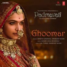 أغنية Ghoomar من فيلم Padmavati 2018 مترجمة