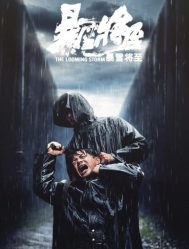 مشاهدة فيلم الجريمة والغموض الصيني The Looming Storm مترجم