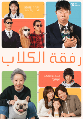 مشاهدة فيلم الدراما الكوري Dog Days 2024 مترجم